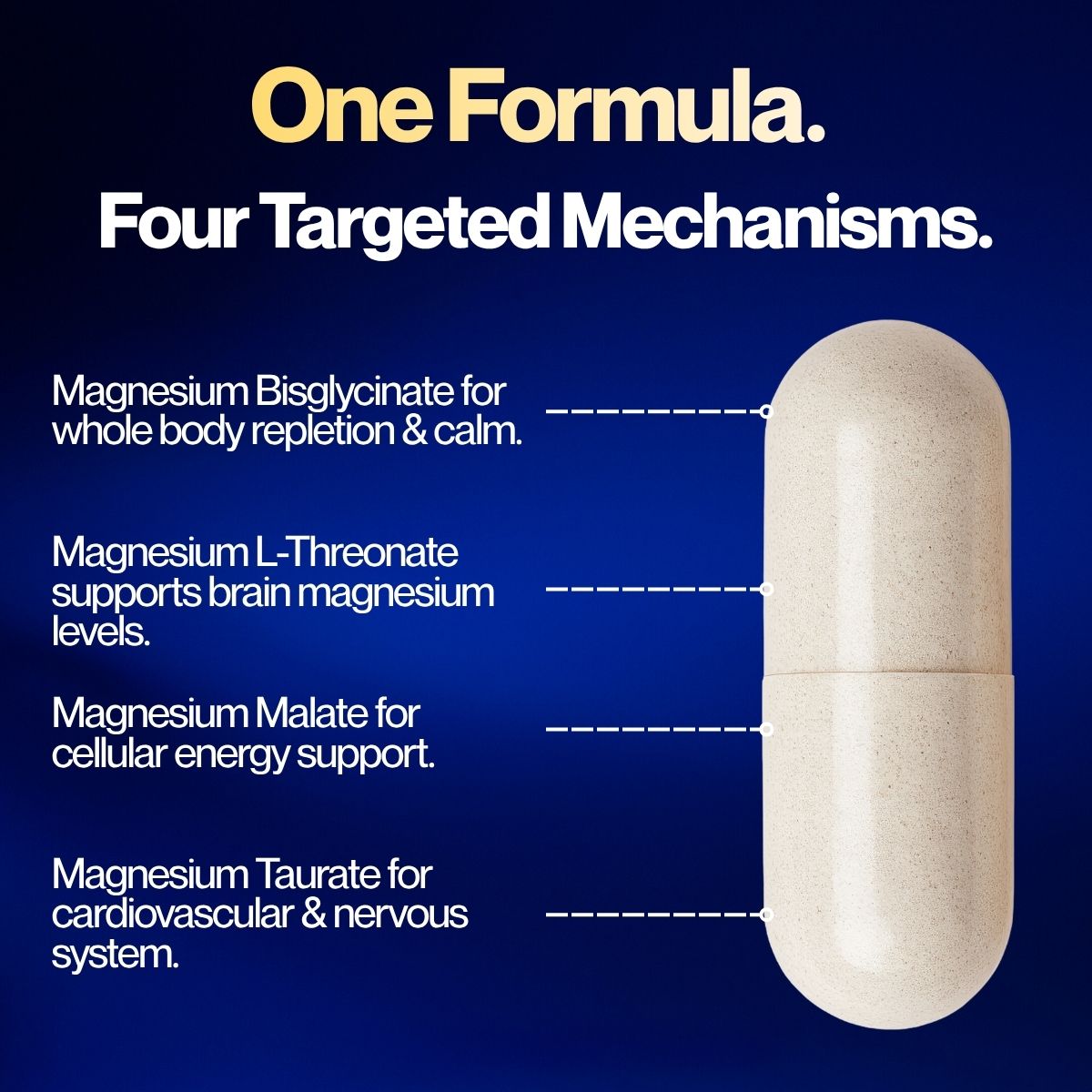 Magnesium Complete™ Brain Magnesium Complex (6 Bottles)